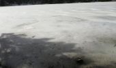 Trail Walking La Bresse - 24022021 La Bresse Lac des corbeaux - Photo 3