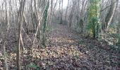 Tour Wandern Brou-sur-Chantereine - brou 18-12 - Photo 17