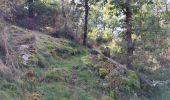 Excursión Senderismo Bort-les-Orgues - Chute de la Saule - Photo 4