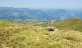 Tocht Stappen Cauterets - cauterets Cabaliros Sireix  - Photo 4