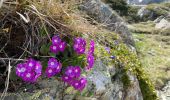Trail Walking Revel - Lac du Crozet - Photo 8