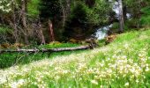 Tocht Stappen Lavaldens - Lac de Rif Bruyant Via Le Mollard - Photo 6