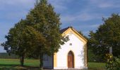 Randonnée A pied Ebermannstadt - Großer Rundweg Burg Feuerstein - Photo 2