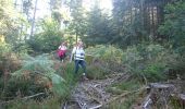 Tocht Stappen La Grande-Verrière - 190919-Morvan-2 - Photo 4