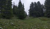 Tour Wandern Saint-Agnan-en-Vercors - pré râteau, pas de Berrieves, pas de la ville - Photo 1