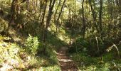 Trail Walking Larroque - Larroque en boucle - Photo 7