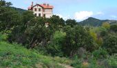 Excursión Senderismo Roquebrune-sur-Argens - Roquebrune sur Argent - Château de La Mère - Le Fournel - Photo 4