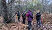 Tocht Stappen Fontainebleau - maison forestière Bois le roi 1er décembre 2023 - Photo 4