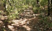 Excursión Senderismo Le Garn - Tarn ardeche - Photo 16