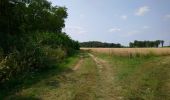 Tour Wandern Vouvray - Vouvray - PR balisé en bleu - 15.1km 125m 3h30 - 2023 06 28 - Photo 4