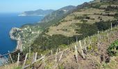 Trail On foot Riomaggiore - Manarola – Volastra – Aia del Cane – Casella - Photo 1
