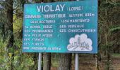 Trail Walking Violay - Violay - La Tour Matagrin - Photo 3
