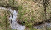 Tour Wandern Monschau - Höfen variante narcisses 15,3 km - Photo 5