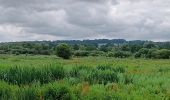 Tocht Stappen Abbeville - Abbeville chemin du Pâtis - Photo 12