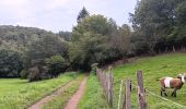 Trail Walking Aywaille - dieupart . embleve . thier bosset . kin . henoumont . vieux jardin . dieupart  - Photo 17