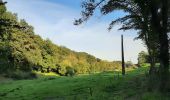 Randonnée Marche nordique Namur - wierde champêtre  - Photo 2