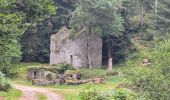Tour Wandern Raon-sur-Plaine - suuntoapp-Hiking-2025-07-14T08-58-29Z - Photo 2