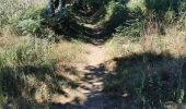 Trail Walking Malansac - rochefort en terre - Photo 8