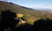 Tour Wandern Port-Vendres - P. coll gascons . coll vallauria carrossable puis gr sailfort   - Photo 4