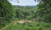 Tocht Stappen Fontainebleau - Fontainebleau Sentier Denecourt 17 - Photo 10