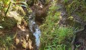 Trail Walking Saint-Benoît - Bassin des hirondelles et cassé de Takamaka  - Photo 10
