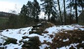 Trail On foot Baldingen - Rundweg - fixme - Photo 2