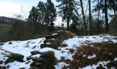 Percorso A piedi Böbikon - Rundwanderweg Gemeinde Böbikon - Photo 2