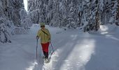 Tour Schneeschuhwandern La Pesse - L'Embossieux - Crêt de Nerbier  - Photo 8