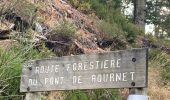 Trail Walking Loubaresse - Loubaresse - Photo 2