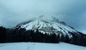 Percorso Racchette da neve Le Sappey-en-Chartreuse - Eimendras du dessus en circuit - Photo 9