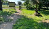 Percorso Marcia Brain-sur-Allonnes - BALADE BRUN SUR ALLONE DANS LA FORÃT  - Photo 1
