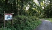 Trail On foot Söhrewald - Söhrewald, Rundweg 2 - Photo 9