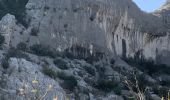 Tour Wandern Cassis - Plan olive - Photo 12