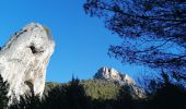 Trail Walking Cabrières-d'Avignon - le mur de la peste château petraque - Photo 10