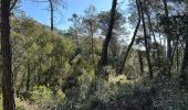 Trail Walking Draguignan - Draguignan Malmont 10 km - Photo 2