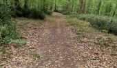 Trail Walking Saint-Gervais-la-Forêt - Saint-Gervais-la-Forêt - Chailles - Photo 10