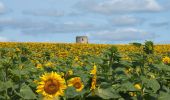 Tour Wandern L'Île-Bouchard - l'île-Bouchard - Brizay Theneuil Parçay-sur-Vienne - 24km 300m 5h10 (1h05) - 2024 07 24 - Photo 9