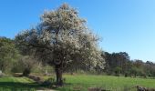 Tour Zu Fuß Wellin - Wellin, A la découverte de la Calestienne - Photo 1