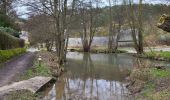 Tour Wandern Modave - Pont de Bonne 060224 - Photo 9