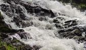 Tour Wandern Dreibrücken - A la découverte de Trois-Ponts  - Photo 2