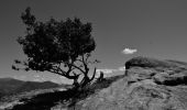 Randonnée Marche Annot - Les Grès d'Annot - Photo 4