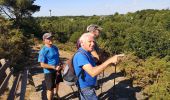 Trail Walking Muzillac - 182 le tour de l'étang de Penmur  - Photo 3