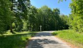 Randonnée Marche Compiègne - en Forêt de Compiègne_50_les Routes des Beaux Monts, de Morpigny et des Nymphes - Photo 18