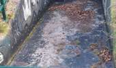 Percorso Marcia Watermael-Boitsfort - Watermaal-Bosvoorde - promenade matinale a boisfort - Photo 19