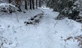 Tocht Stappen Stoumont -  Neucy , bergerie de la Lienne 13 Km - Photo 3