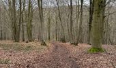 Randonnée Marche Anthisnes - Marche Adeps Hody 10km - Photo 2