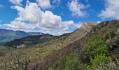 Tour Wandern Val-Buëch-Méouge - Crête de l'âne, des Planes et Roc de Gloritte Via Plaugiers - Photo 10