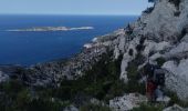 Trail Walking Marseille - calanques podestal, escut, melette - Photo 5