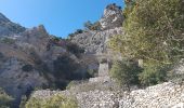 Tocht Stappen Saint-Guilhem-le-Désert - St Guilhem - vers la Bissone, retour par le Verdus - Photo 4