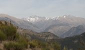 Tocht Stappen Lantosque - pointe de colla bassa - Photo 2